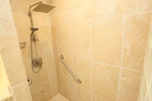 room details featuring tiled shower