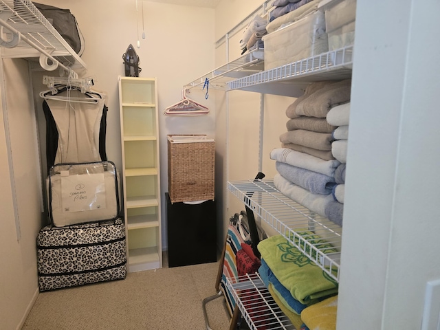 112 Lake Dora Dr, West Palm Beach, FL 33411 - spacious closet with carpet flooring