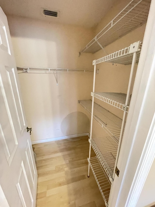 spacious closet with wood-type flooring