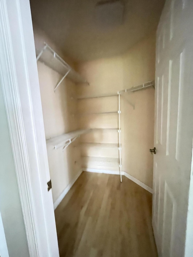 walk in closet featuring wood-type flooring