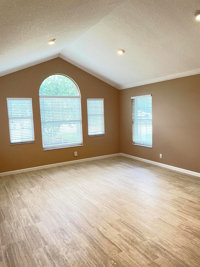 spare room with a healthy amount of sunlight, a textured ceiling, and light hardwood / wood-style flooring