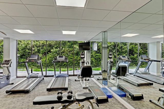 exercise room with a drop ceiling and carpet floors