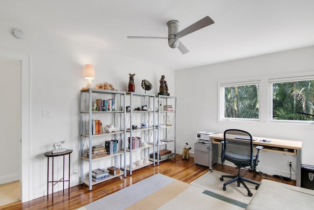 office featuring light hardwood / wood-style flooring and ceiling fan