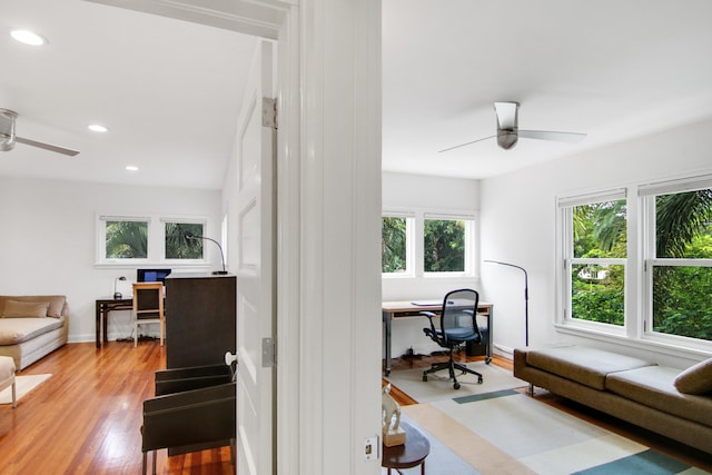 home office with hardwood / wood-style flooring and ceiling fan