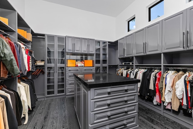 spacious closet with dark hardwood / wood-style floors