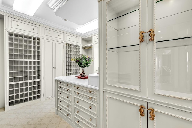 spacious closet featuring light colored carpet