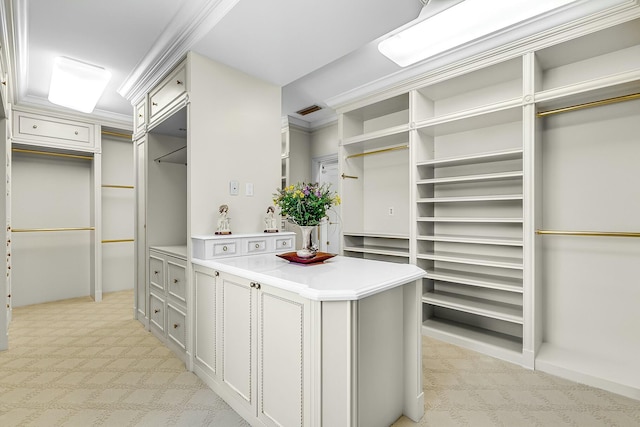 spacious closet with light carpet