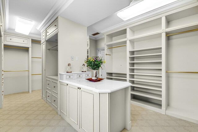 477 S Beach Rd, Jupiter Island, FL 33455 - walk in closet featuring light colored carpet