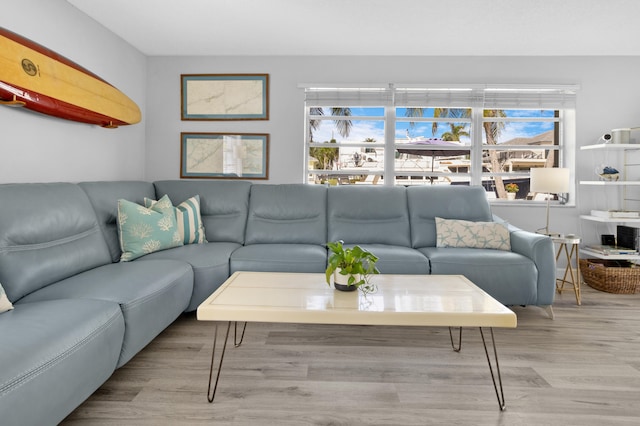 living room featuring light hardwood / wood-style floors