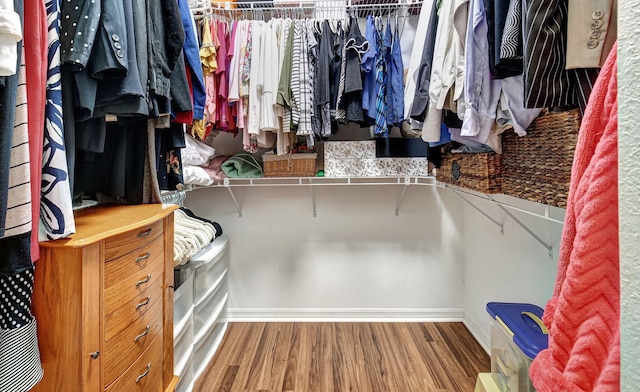 spacious closet featuring wood-type flooring