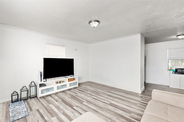 living room with a textured ceiling, light hardwood / wood-style flooring, and crown molding