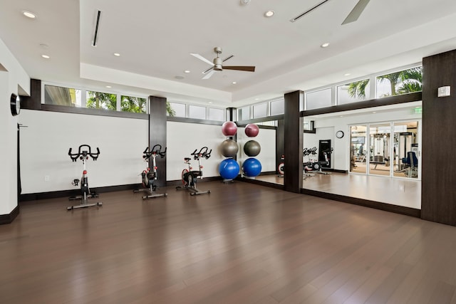 exercise room with a wealth of natural light, ceiling fan, and hardwood / wood-style flooring