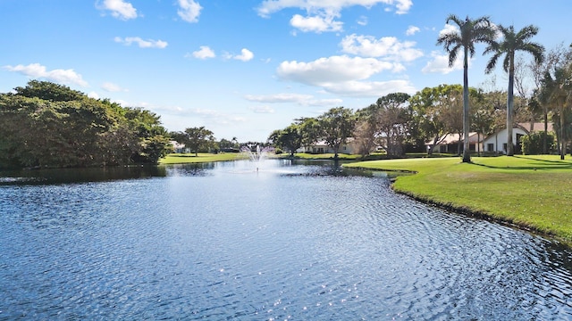 property view of water