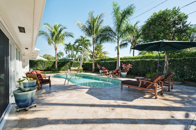 view of pool featuring a patio