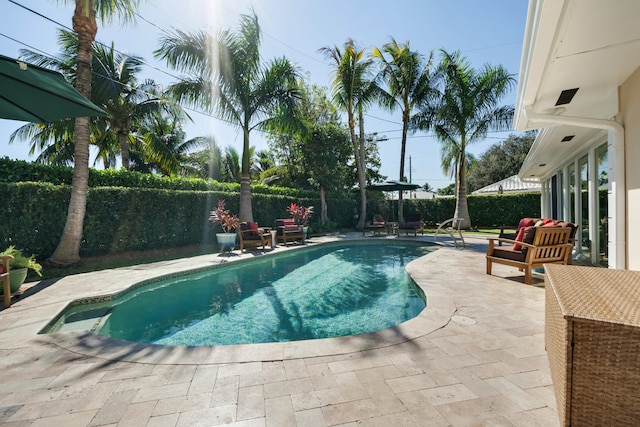 view of swimming pool featuring a patio area