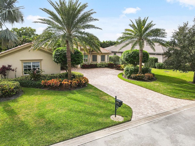 view of front facade with a front yard