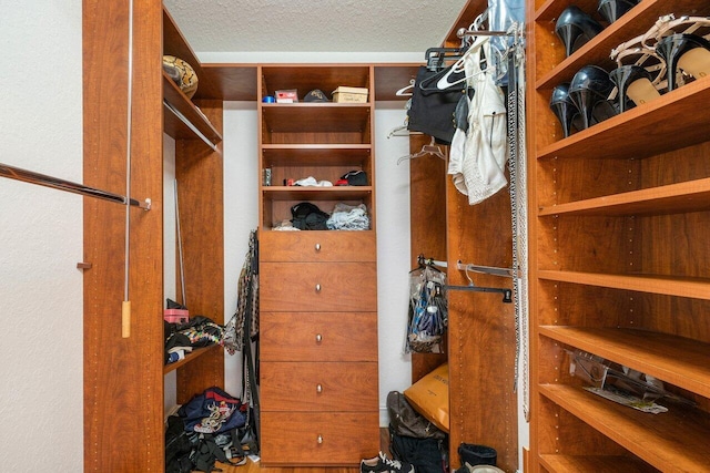 view of walk in closet