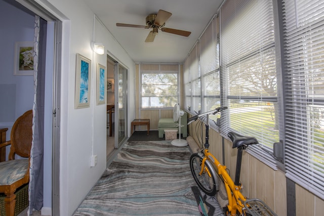 sunroom / solarium with ceiling fan