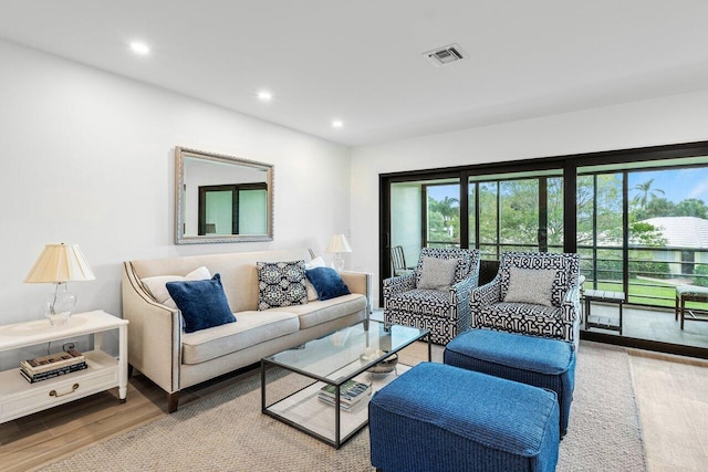 living room with hardwood / wood-style flooring