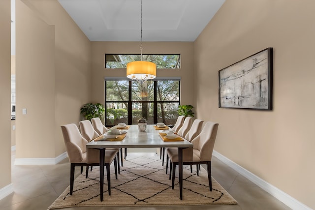 dining space with a tray ceiling