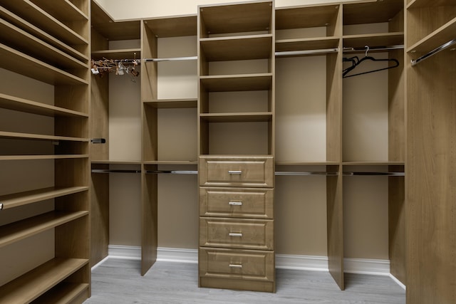 walk in closet with light wood-type flooring