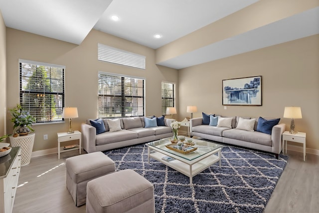 living room with wood-type flooring