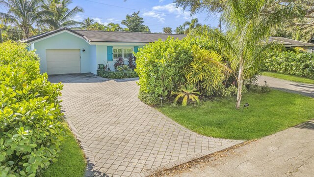 back of house featuring a patio and a lawn