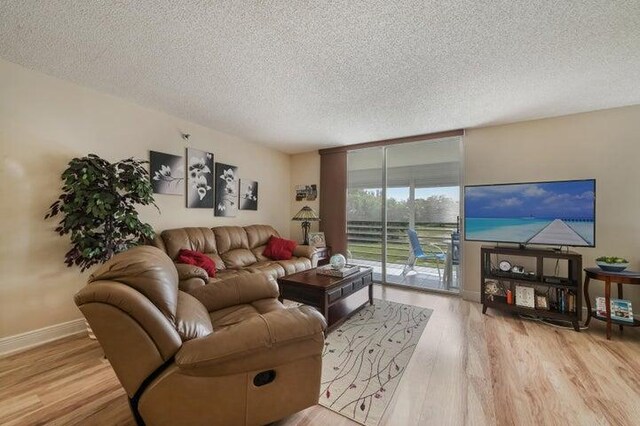 living room featuring light hardwood / wood-style floors and a textured ceiling