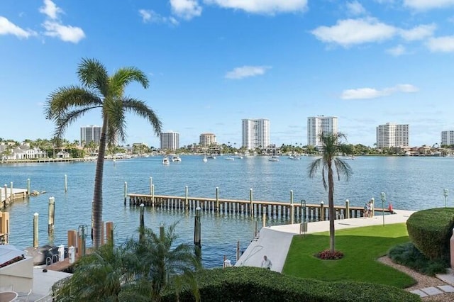 water view featuring a dock