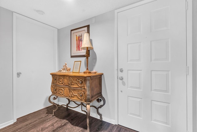 foyer featuring dark wood-type flooring