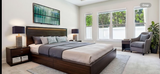 carpeted bedroom featuring multiple windows