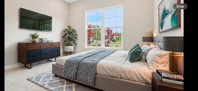 view of carpeted bedroom