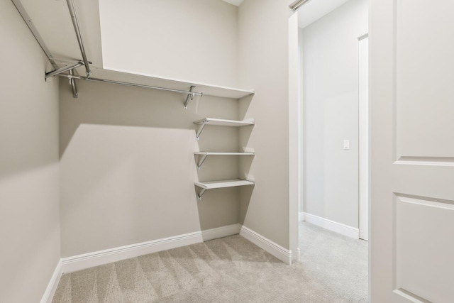 spacious closet featuring light carpet