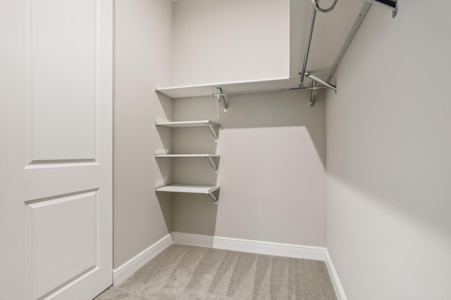 walk in closet featuring light colored carpet