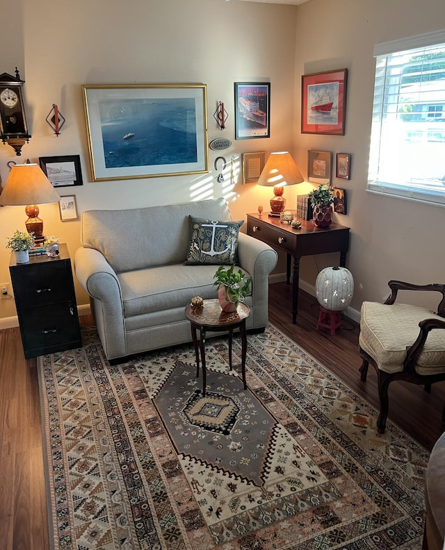 living room with wood-type flooring