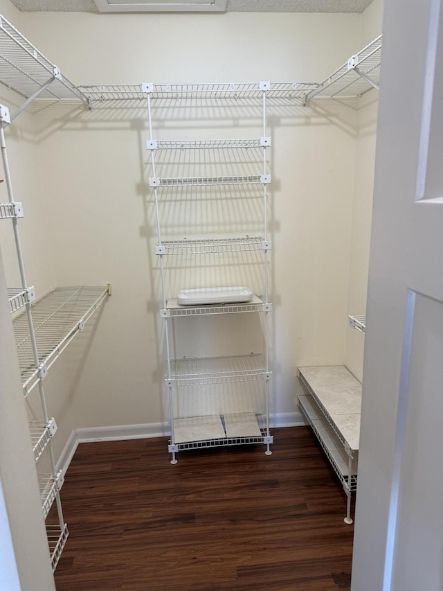 walk in closet featuring dark hardwood / wood-style flooring