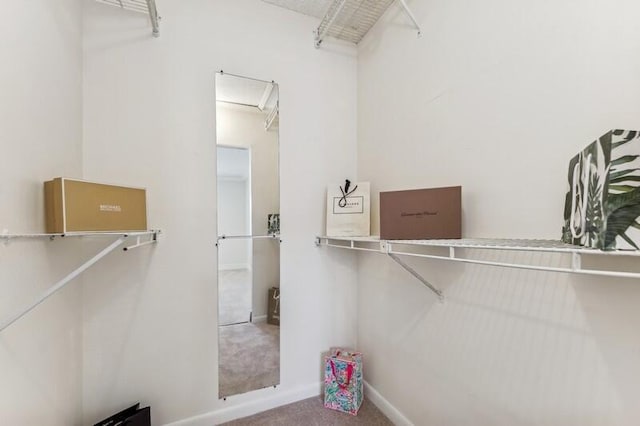 walk in closet featuring carpet floors