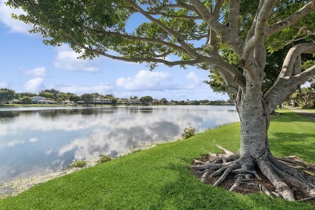 property view of water