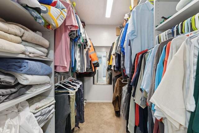 312 Lake Dora Dr, West Palm Beach, FL 33411 - spacious closet featuring light carpet