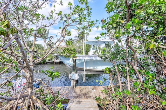 dock area with a water view