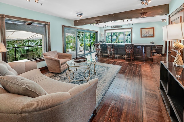 living room with dark hardwood / wood-style flooring