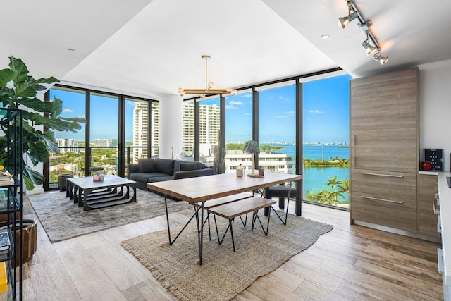 dining room with light hardwood / wood-style floors, floor to ceiling windows, a water view, and a healthy amount of sunlight