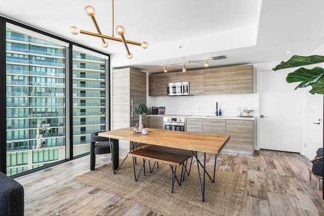 kitchen with expansive windows, hanging light fixtures, sink, light hardwood / wood-style flooring, and appliances with stainless steel finishes