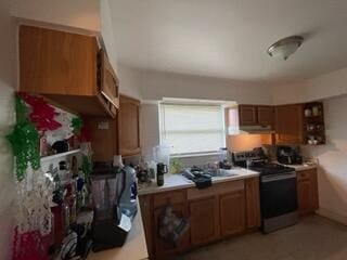 kitchen featuring electric stove and sink