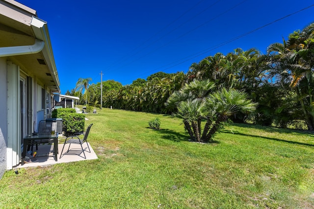 view of yard featuring a patio