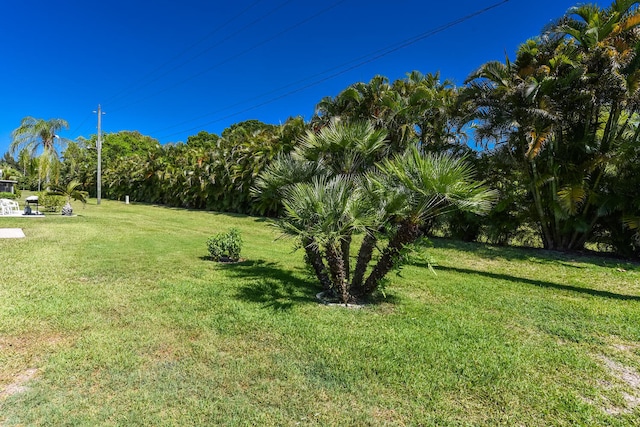 view of yard