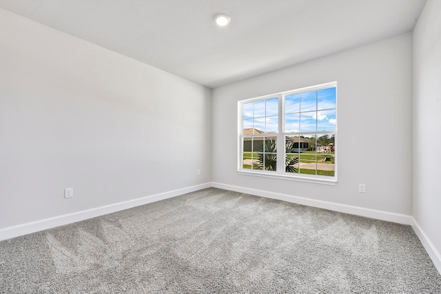 spare room with carpet floors