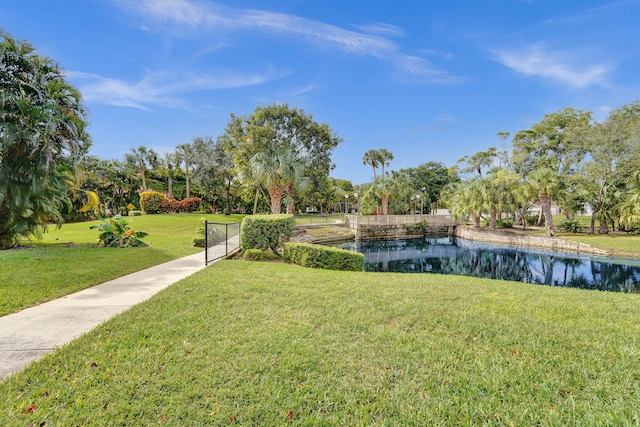 view of community with a water view and a lawn