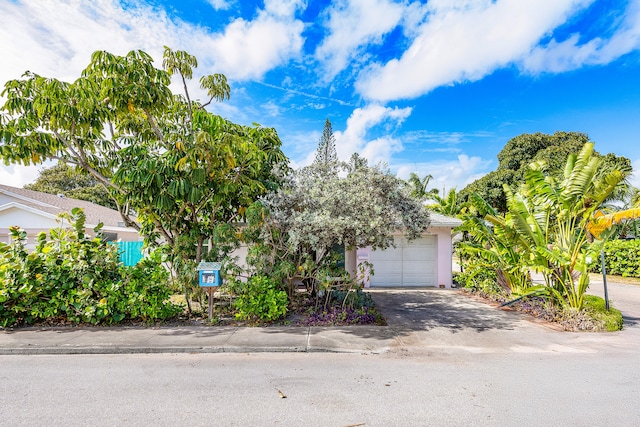 view of property hidden behind natural elements with a garage