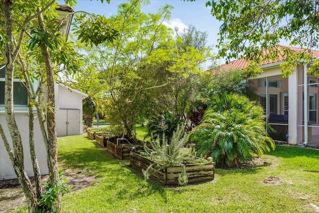 view of yard with a shed